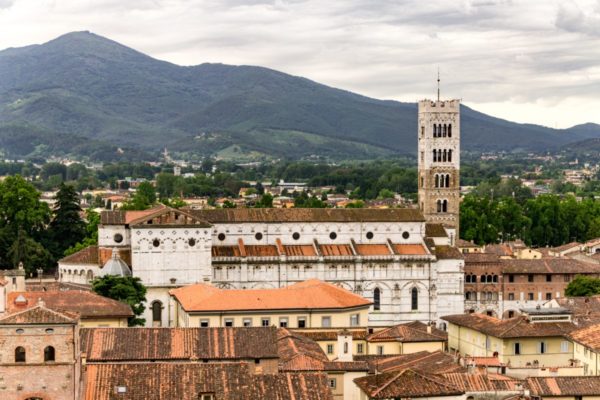 Lucca duomo