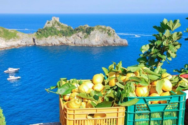 limoni-amalfi